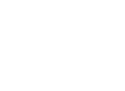 Bagno Delfino Logo